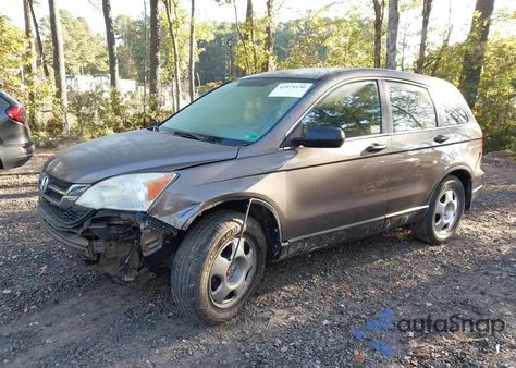 2010 Honda Cr-V Lx из США, поврежденный, VIN 5J6RE4H38AL072654